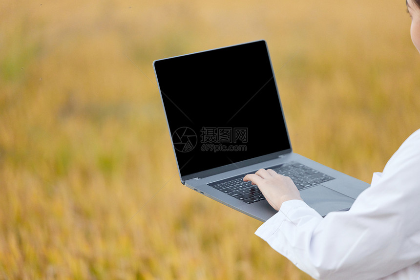 在稻田使用笔记本电脑的女科研人员特写图片