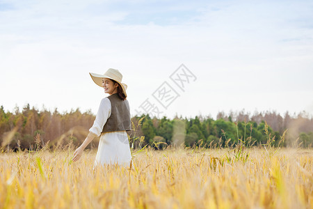 漫步花间随拍秋季在稻田间散步的女性背景