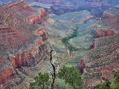 亚利桑那大峡谷背景图片