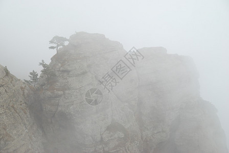山中的薄雾有云和岩石的景观图片