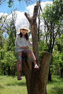 孩子坐在树上图片