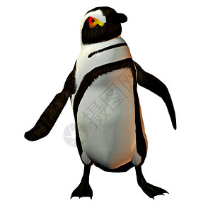 一个企鹅在跳舞挥背景图片