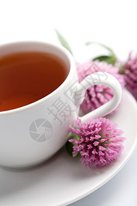 孤立的白杯凉茶和三叶草花图片
