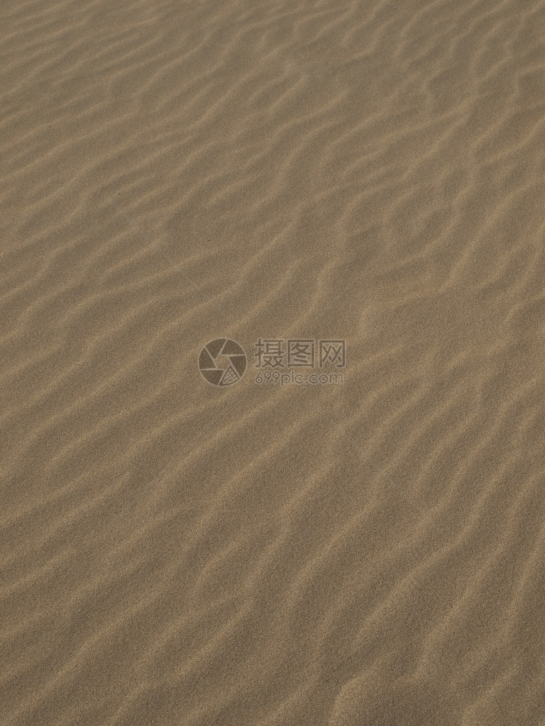 沙漠或海滩沙丘的纹理图片