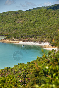 昆士兰Whitsunday群岛图片