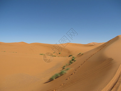在摩洛哥留下足迹的黄色沙漠背景图片