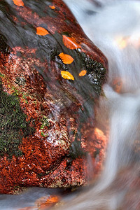 红石间美丽的秋水图片