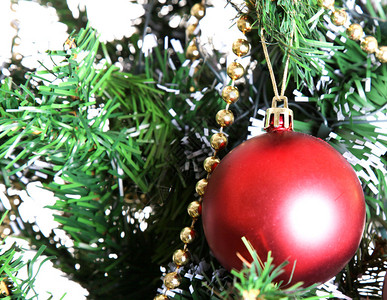 树上的红圣诞节球X图片