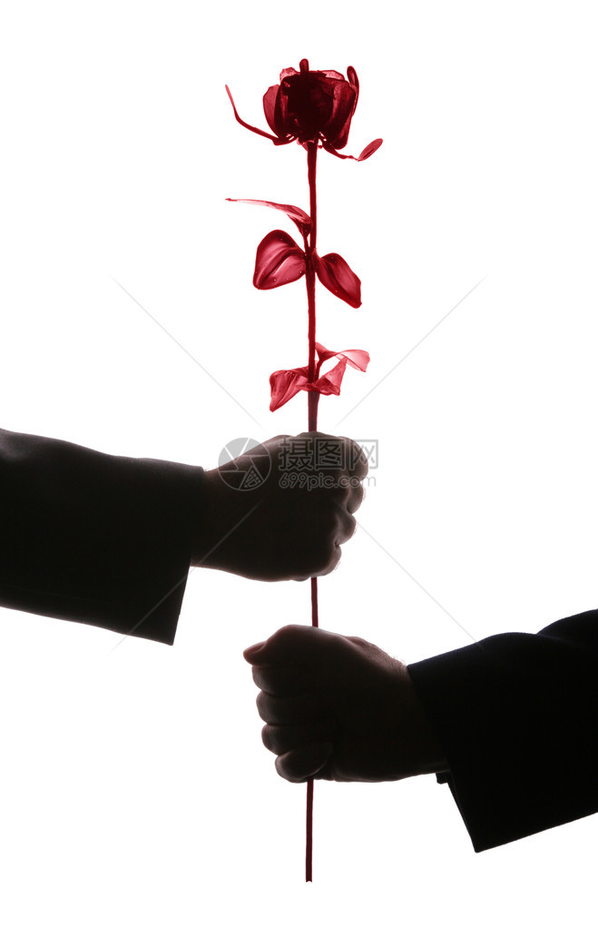 两个对手男人手握红玫瑰图片