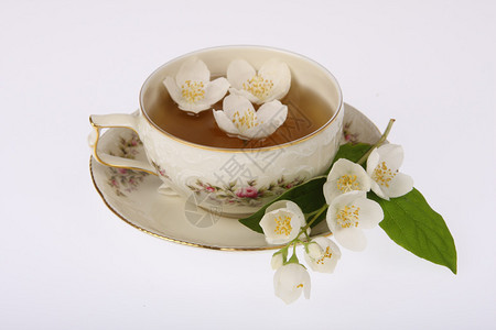 茶杯加茉莉花白的图片