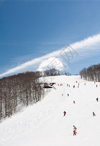 滑雪者图片