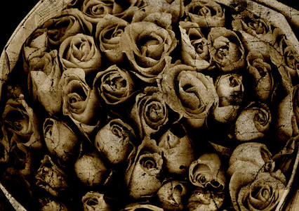 玫瑰花grunge纹理图片
