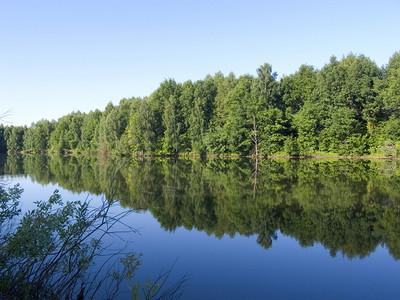 木材湖冷静的反射木图片