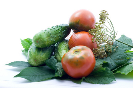 新鲜成熟的西红柿黄瓜和辣椒绿菜图片