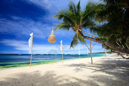完美的热带白色沙滩和棕榈树图片