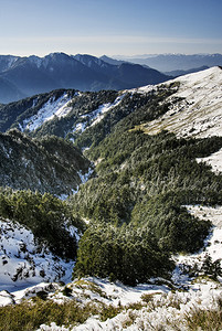 冬季森林景色图片