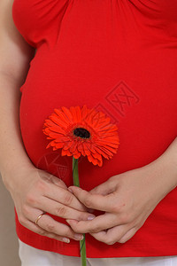 红色的孕妇拿着红色的花图片