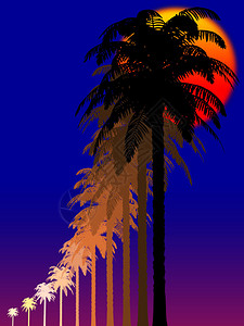 热带夜晚棕榈树的剪影背景图片