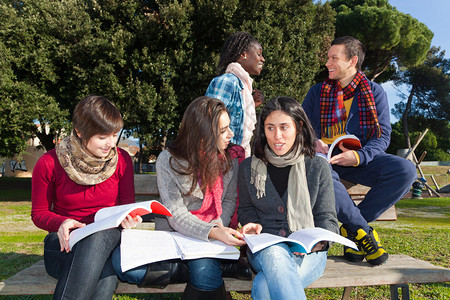 在公园一起学习的大学生图片