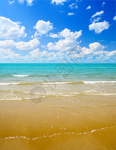 沙子和海洋图片