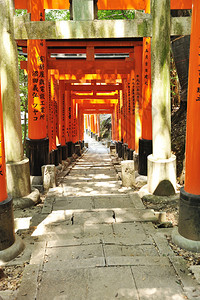 日本京都伊纳里神社Fushimi的WoodenTorii图片