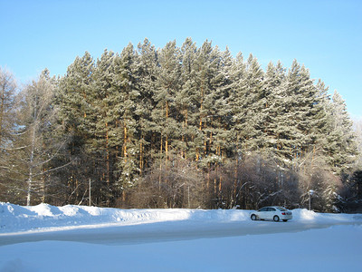 冬季森林公路和图片
