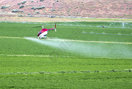 一架直升机正在俄勒冈中北部的背景图片