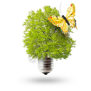 绿色能源概念用灯泡和图片