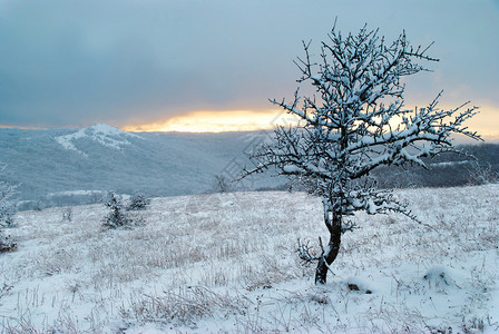冬季风景冬季山区和冰图片