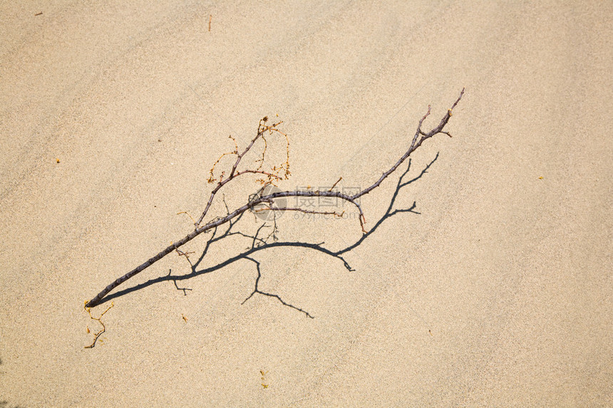 在死谷北点的梅斯基特平板沙丘中用精细石英砂制成的热度干图片