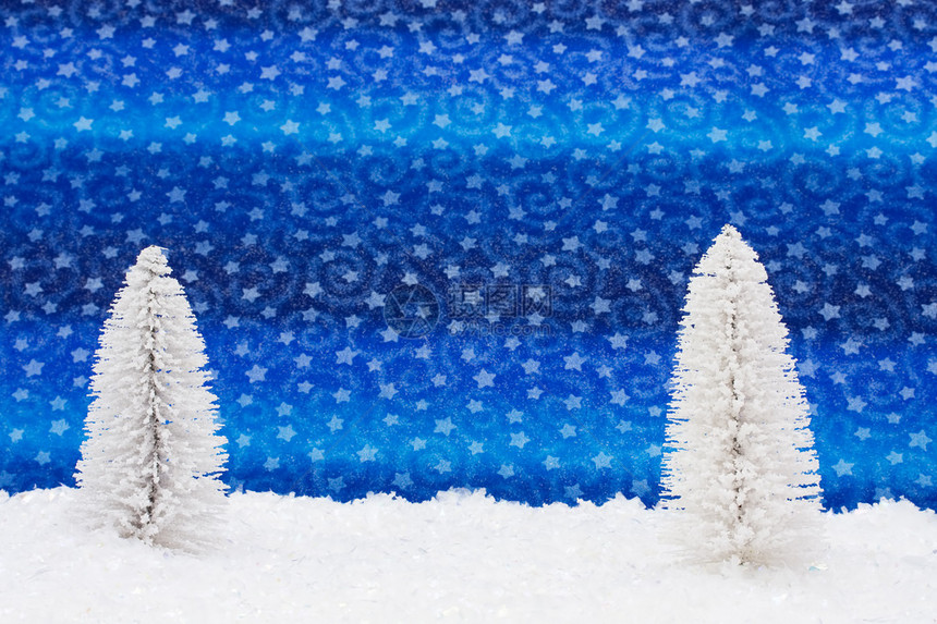 雪地上的两棵白树星图片