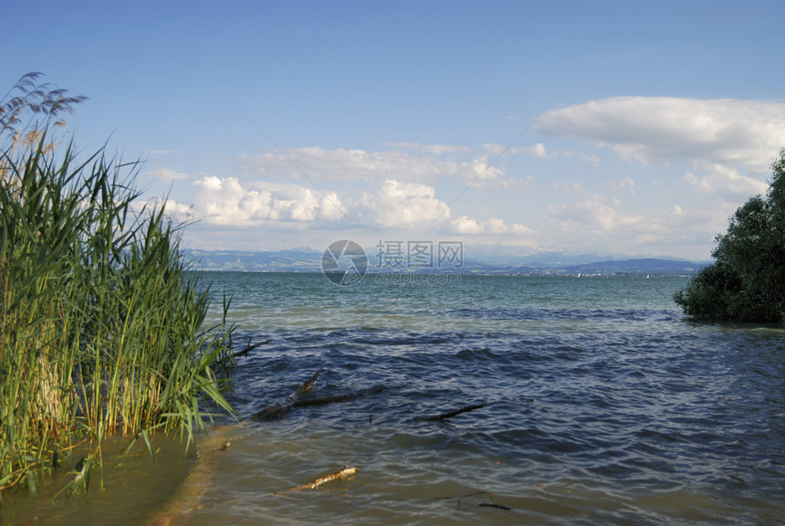 德国的博登湖图片