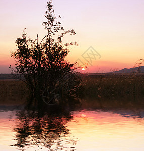 夕阳美景图片