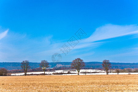 冬天有田野的美丽风景图片