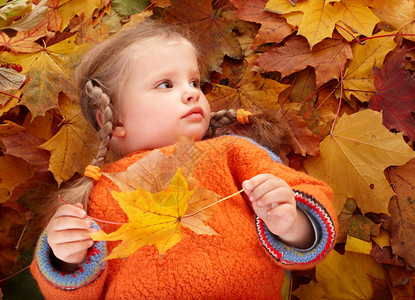 秋天橙色叶子的小女孩户外的背景图片