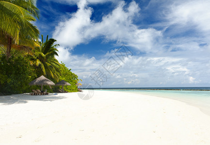 马尔代夫热带天堂白海滩和绿图片