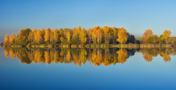 水中倒影的秋树全景图片
