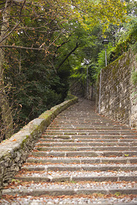 老楼梯在小树林贝加莫阿尔塔背景图片