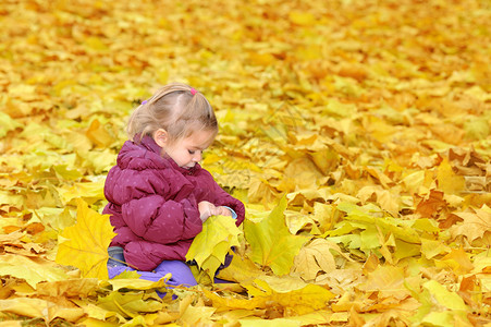 可爱的蹒跚学步的女孩玩秋叶图片