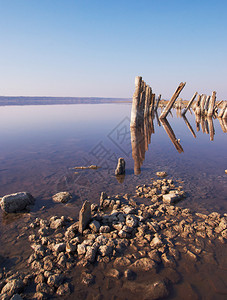湖中的旧腐柱景观图片