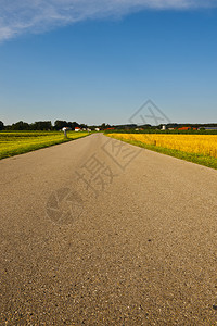 德国巴伐利亚玉米和小图片