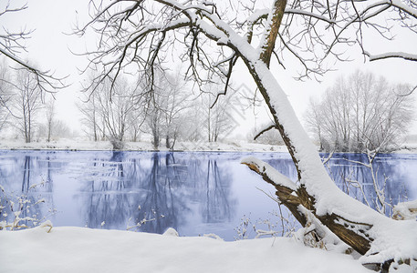 冬季结冰的河流和树木图片