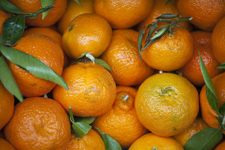 市场上新鲜柑橘新鲜水果芒果图片