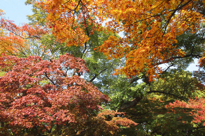 Iwate公园图片