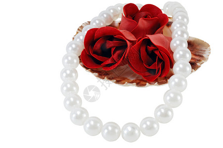 白色背景上带珍珠和玫瑰的贝壳图片