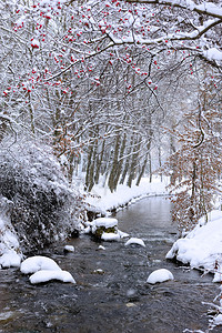 与小河的冬天风景图片