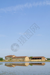 稻田老农场的景色背景图片