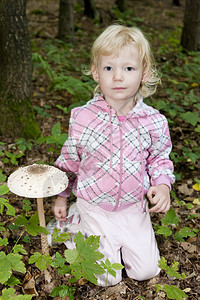 森林里采蘑菇的小女孩背景图片