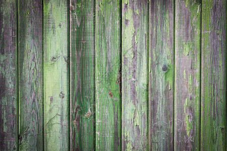 Grunge绿色油漆木图片
