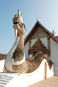 蛇和佛教寺庙泰国图片